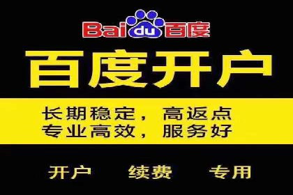 百度推广平台：提升转化率的广告策略案例